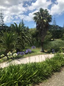 Κήπος έξω από το Paradise Grove