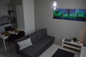 una sala de estar con un sofá y una mesa en Haven Homes, Aurora Haven, en Rovaniemi