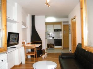 a living room with a couch and a dog in a room at PASEO DE LOS AYERBE Nº5 in Canfranc-Estación
