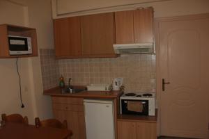 Кухня или мини-кухня в El Greco Apartments
