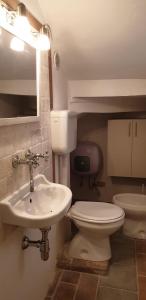 a bathroom with a toilet and a sink at Nel Chianti lungo la Francigena in Colle Val D'Elsa