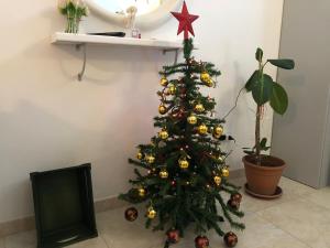 Zdjęcie z galerii obiektu Casa Comasia w mieście Martina Franca