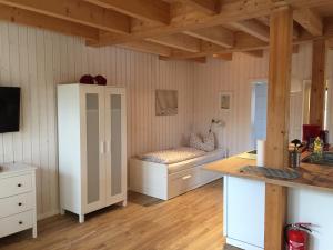 TV a/nebo společenská místnost v ubytování Apartments im Schwedenstil
