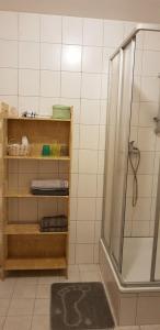 a bathroom with a shower and a shelf with towels at FeWo im Herzen Reichenbachs in Reichenbach im Vogtland
