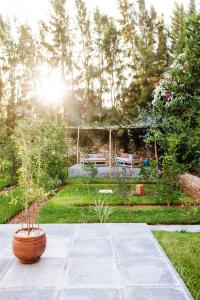 una olla sentada en el suelo en un jardín en La Maison des Ailleurs, en Essaouira