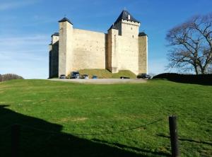 a castle on top of a grassy hill at Appartement Abadie in Bagnères-de-Bigorre
