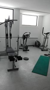 Γυμναστήριο ή/και όργανα γυμναστικής στο Apartment Svetla in Laplandia Complex