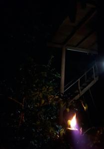 Mynd úr myndasafni af Dambulla Tree House í Dambulla