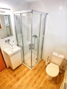a bathroom with a shower and a toilet and a sink at Chata Jana Demänovská Dolina in Belá