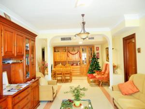 ein Wohnzimmer mit einem Weihnachtsbaum im Zentrum in der Unterkunft Martin House & Granada in Granada