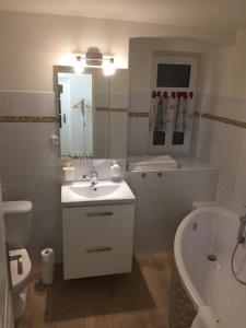 Koupelna v ubytování Apartmány Michaela