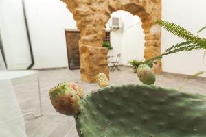 Fotografie z fotogalerie ubytování Cortile Baronello v destinaci Agrigento