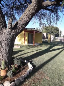 a tree in a yard with a house in the background at Departamento Teodelina in Quehué