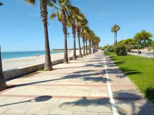 a sidewalk lined with palm trees next to the beach at Apartamento Pueblo de Pescadores in Les Cases d'Alcanar