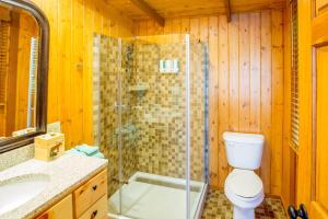 a bathroom with a shower and a toilet and a sink at Ludlow's Island Resort in Cook