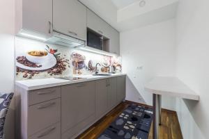 Kuhinja ili čajna kuhinja u objektu Karlson Lux Apartments