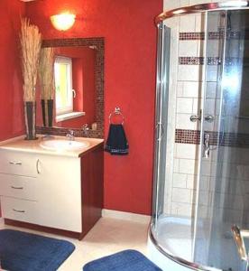 a bathroom with a shower and a sink and a mirror at DOMEK NA BASZCIE klimatyzowany in Lesko