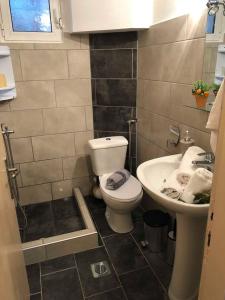 a bathroom with a toilet and a sink at Studios on the Beach in Skala Sotiros