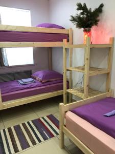 Двухъярусная кровать или двухъярусные кровати в номере Brusnika Hostel