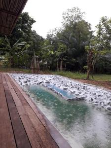 a flock of white birds in the water at Baan Hotelier Resort in Trat