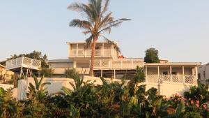 a building with a palm tree in front of it at Fairview Guesthouse in Ballito