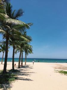 a group of palm trees on a sandy beach at Da Nang Daisy Apartment in Danang