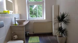 Kúpeľňa v ubytovaní Pension-Puttlachtal