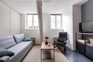 ein Wohnzimmer mit Sofa und Fernseher in der Unterkunft Coeur de Lille - cosy appartement 5 in Lille