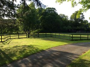 a fence in a field with a tree and grass at The Firs in Ashford