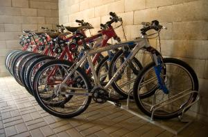 Jazda na bicykli v okolí ubytovania Rodinné Vinařství Skoupil