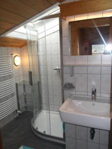 乌姆豪森Haus Domenig的一间带水槽和淋浴的浴室