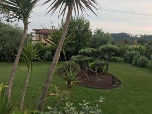 Zahrada ubytování Le Ginestre