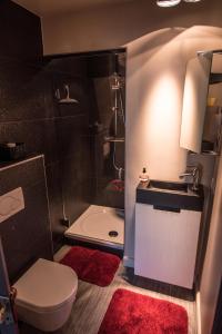 a bathroom with a sink and a toilet and a shower at Casa Negra in Bruges