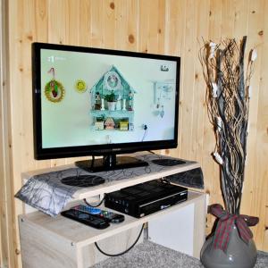 TV a/nebo společenská místnost v ubytování Apartmán Javorina
