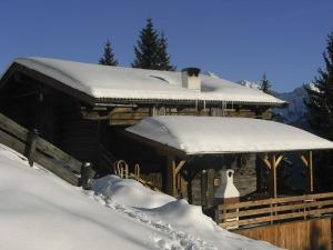 Hütte - Ferienhaus Bischoferhütte für 2-10 Personen v zime