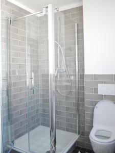 a bathroom with a shower and a toilet at Backsteinhaus Hanau in Hanau am Main
