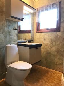 a bathroom with a toilet and a sink at Villa Holmen 2 - Ground floor apartment in Balestrand