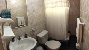 Łazienka z białą toaletą i umywalką w obiekcie Delfín Apart w mieście Pichilemu