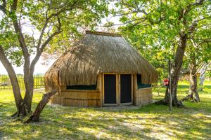 Zahrada ubytování Manico Camp