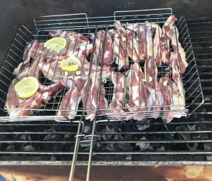 Ein Haufen Fleisch auf einem Grill in der Unterkunft Ap Relax , Golem - Mali robit in Golem + 11 Fotos