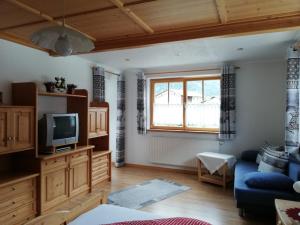 ein Wohnzimmer mit einer blauen Couch und einem Fernseher in der Unterkunft Apart Lorenz in Häselgehr