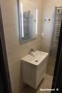 Kúpeľňa v ubytovaní Apartmány BD Boží Dar