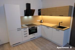 Kuchyňa alebo kuchynka v ubytovaní Apartmány BD Boží Dar