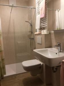 a bathroom with a shower and a toilet and a sink at Pension Ferienwohnungen Rosenschlösschen in Willingen