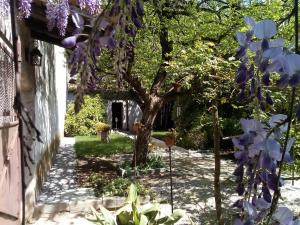 einen Garten mit lila Blumen und einem Baum in der Unterkunft Il Rifugio del Monaco in Cividale del Friuli