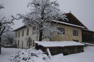 a house with a tree covered in snow at Stolznhof in Schönberg im Stubaital