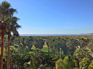 a group of palm trees in a field at Sunny Apartment Tropical Coast,Granada. Calle Rector Pascual Rivas Carrera in Motril