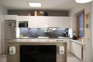 Kuchyň nebo kuchyňský kout v ubytování Studio City Borealis