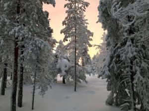 Studio City Borealis v zimě