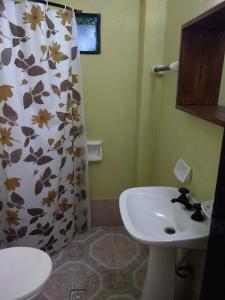 Un baño con cortina de ducha y lavabo. en Megaró, en Santa Teresita 63 fotos más